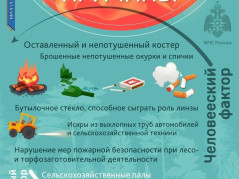 Памятка МЧС: Причины природных пожаров и как их предотвратить!